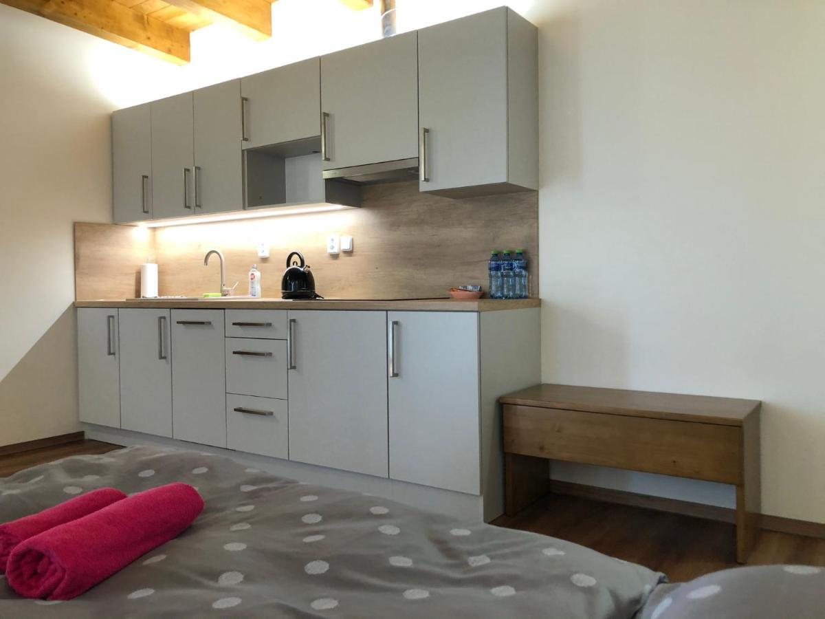 ANICO apartmány Dolni Benesov Esterno foto