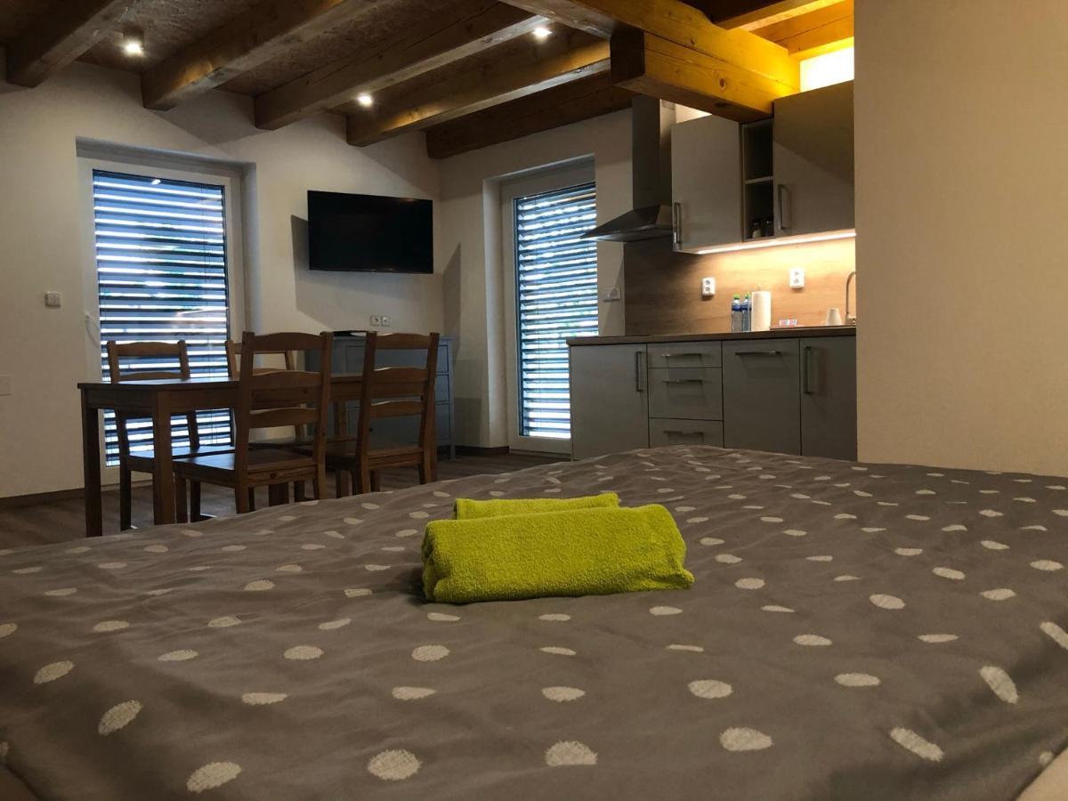 ANICO apartmány Dolni Benesov Esterno foto